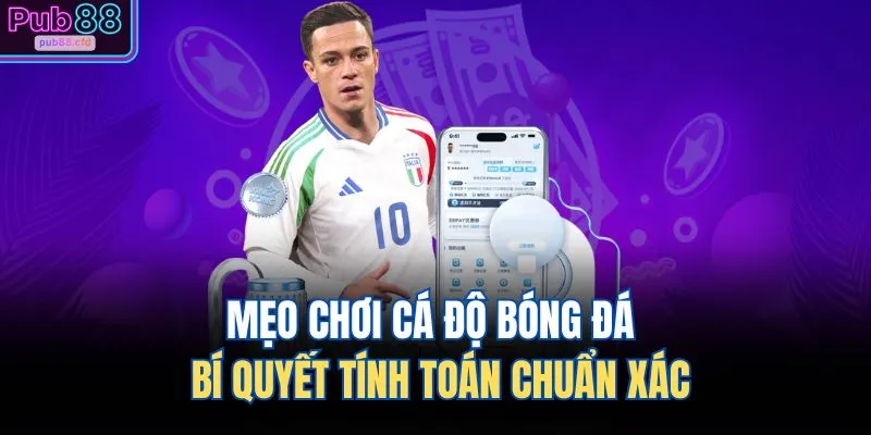 Mẹo Chơi Cá Độ Bóng Đá